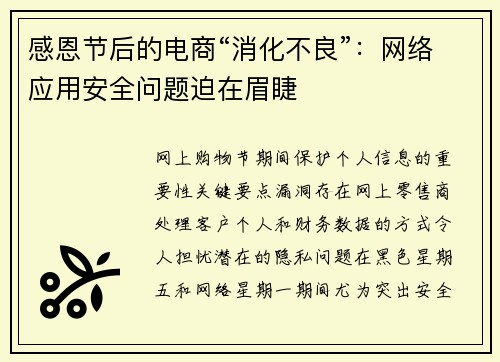 感恩节后的电商“消化不良”：网络应用安全问题迫在眉睫 
