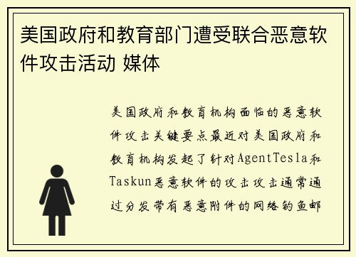 美国政府和教育部门遭受联合恶意软件攻击活动 媒体